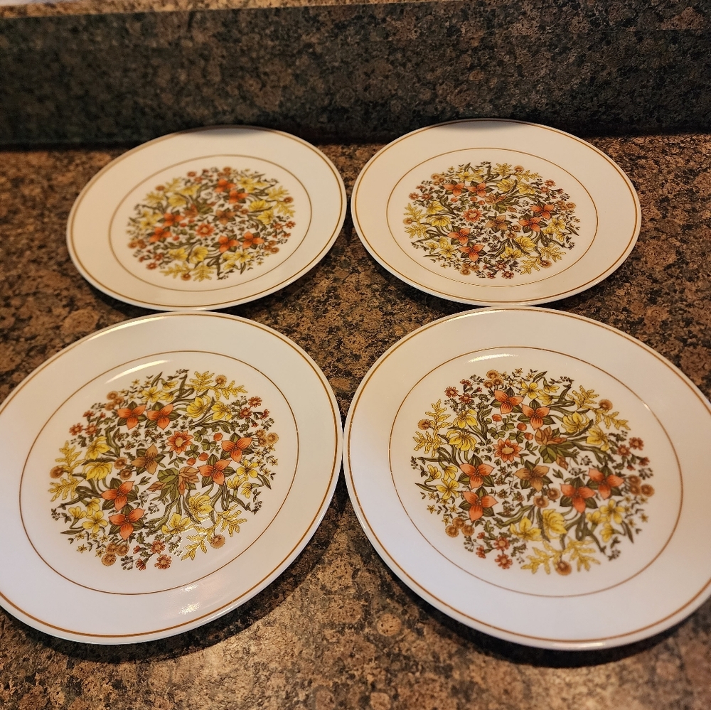 Corelle Indian Summer, Set of 4 10" Plates